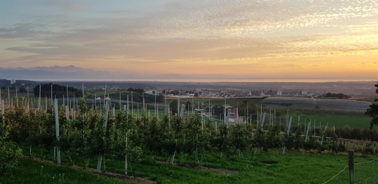 Ferienwohnung Stryck Tettnang Bagian luar foto